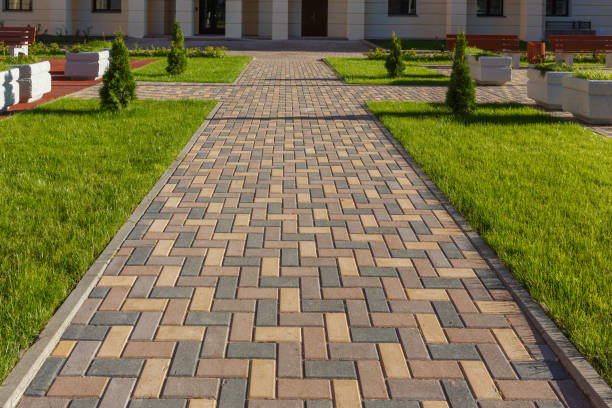 Best Best Driveway Pavers  in Nashvle, IL